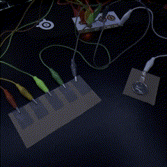 The fifth circuit uses graphite strips on a piece of cardboard for connections, the ground is separated from the connections using a quarter for the conductive material, the circuit completes when I put my right hand on the ground and my left hand taps the graphite strips, this circuit was an idea taken from the mouse and keyboard, although they are completely different in terms of how they work.
